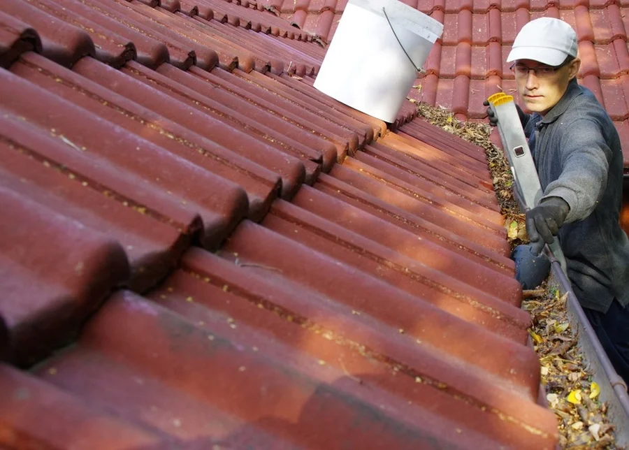 How Gutter And Tree Maintenance Work Together For Protection Vallejo, CA How Gutter And Tree Maintenance Work Together For Protection Vallejo, CA