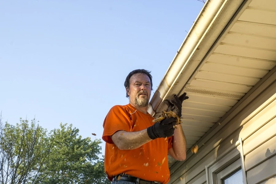 How Gutter And Tree Maintenance Work Together For Protection in Vallejo, CA How Gutter And Tree Maintenance Work Together For Protection in Vallejo, CA
