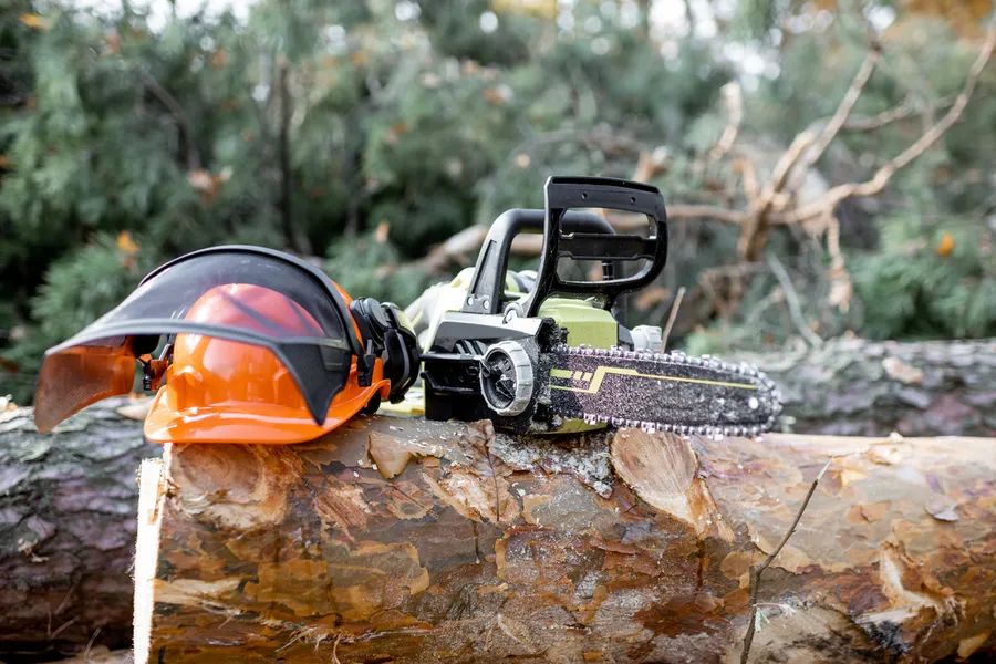 Tree Cutting Techniques That Preserve Your Landscape Design Vallejo, CA Tree Cutting Techniques That Preserve Your Landscape Design Vallejo, CA